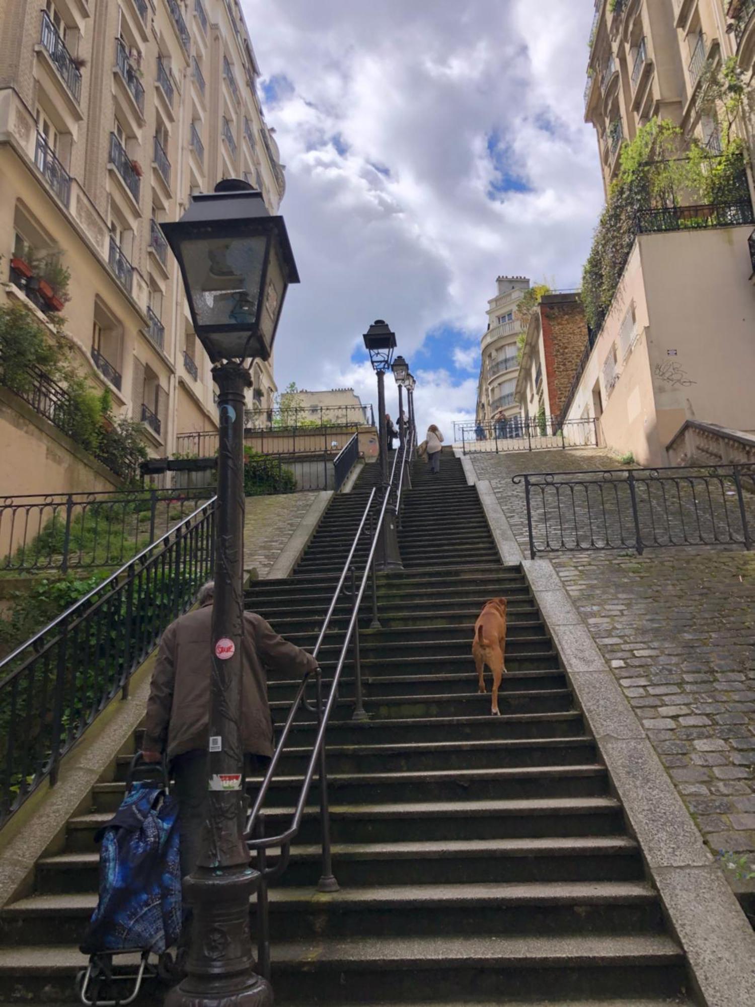 Homestay Grande Chambre A Montmartre Paris